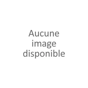 Boots grises à lacets femme (36-41)