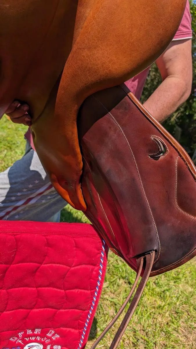 Selle SCB marron 17,5